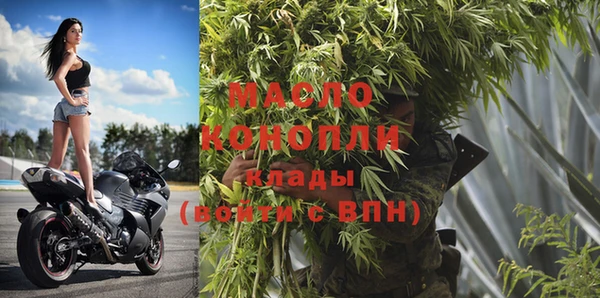 тгк Дмитриев