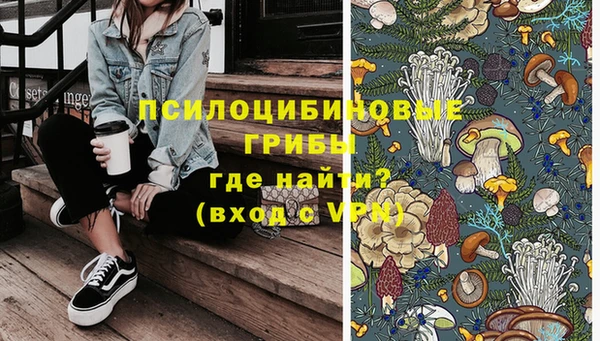 тгк Дмитриев