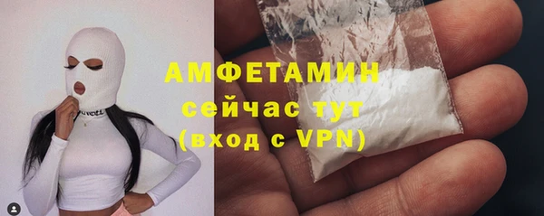 тгк Дмитриев