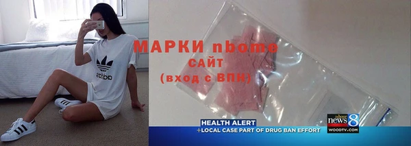 тгк Дмитриев