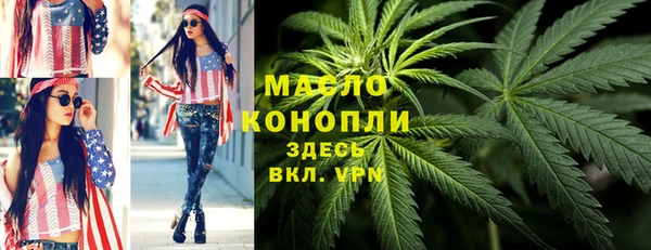 тгк Дмитриев