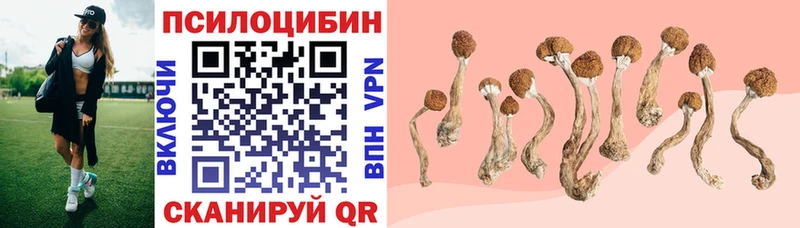 Галлюциногенные грибы GOLDEN TEACHER Зеленоградск